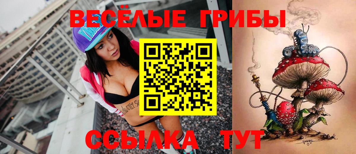 Галлюциногенные грибы Cubensis  Вход с VPN  Екатеринбург  Галлюциногенные грибы MAGIC MUSHROOMS 